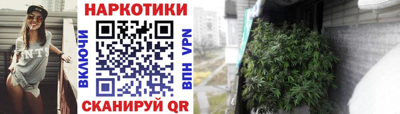 Магазины продажи наркотиков Сунжа ГАШИШ Марихуана АМФ Меф СК