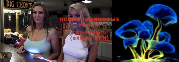 дмт Алексин
