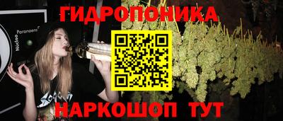 дживик Донецк
