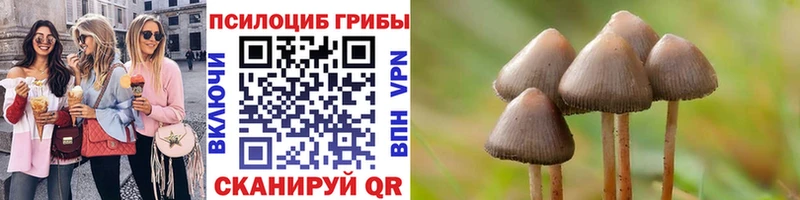 Галлюциногенные грибы MAGIC MUSHROOMS  blacksprut ссылки  Сунжа 