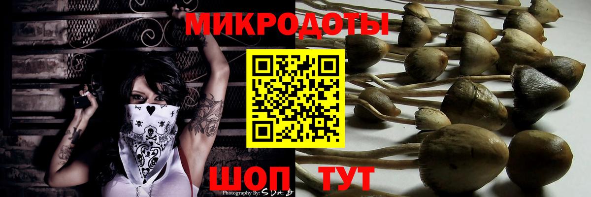 Сунжа  где продают наркотики  Вход с VPN  Галлюциногенные грибы мицелий 