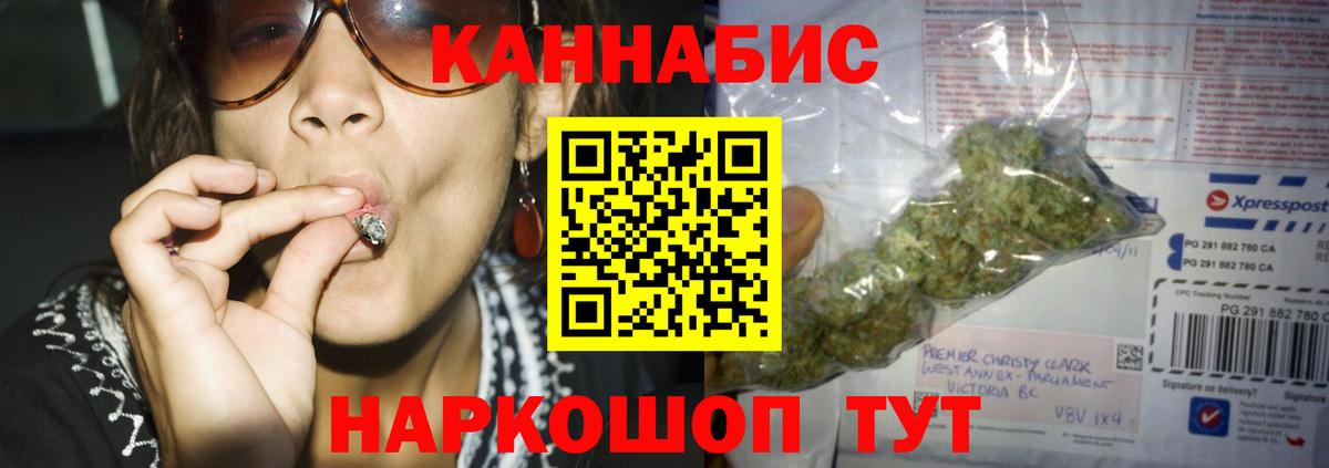 Бошки марихуана OG Kush Сунжа